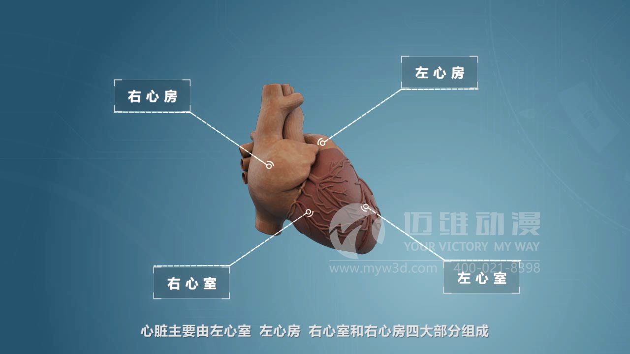 醫(yī)療器械三維動畫制作 醫(yī)療器械三維動畫制作