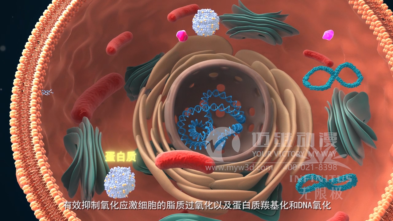 醫(yī)學(xué)醫(yī)療三維動畫制作公司 醫(yī)學(xué)醫(yī)療三維動畫制作公司