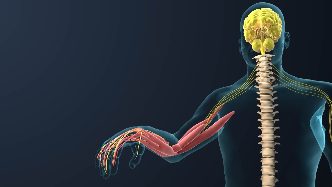 人體手術(shù)三維動畫.jpg 人體手術(shù)三維動畫.jpg