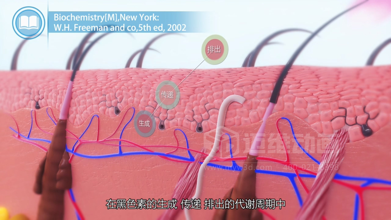 醫(yī)學科普從來不是 “天書”：三維動畫讓復雜科學原理輕松 get！(圖4)