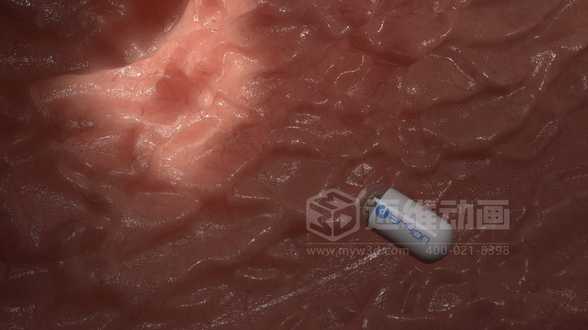 磁控膠囊機(jī)器人三維動(dòng)畫(huà)(圖6) 磁控膠囊機(jī)器人三維動(dòng)畫(huà)(圖6)