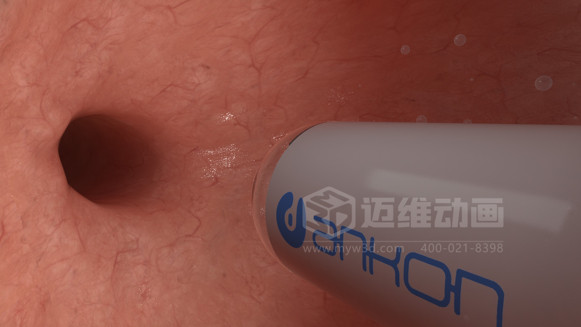 磁控膠囊機(jī)器人三維動(dòng)畫(huà)(圖4) 磁控膠囊機(jī)器人三維動(dòng)畫(huà)(圖4)