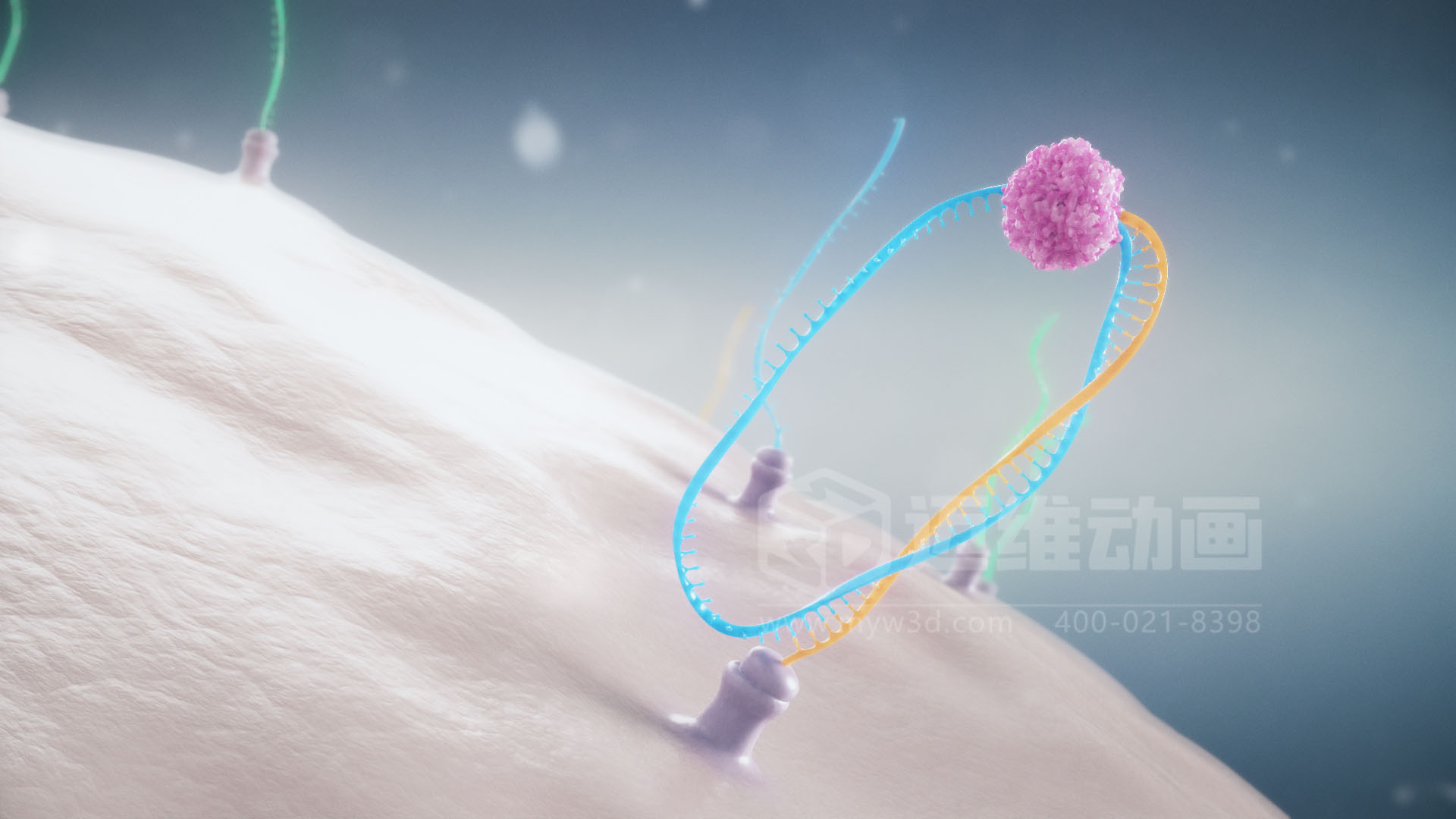 醫(yī)療分子生物學(xué)三維動(dòng)畫(圖3) 醫(yī)療分子生物學(xué)三維動(dòng)畫(圖3)